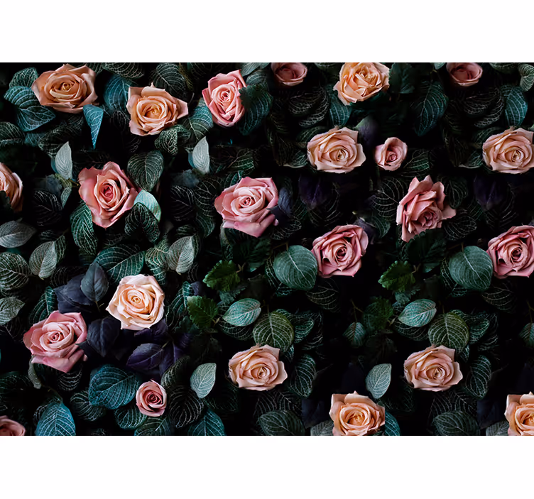 Estore de rolo para cozinha rosas coral pink - TenStickers