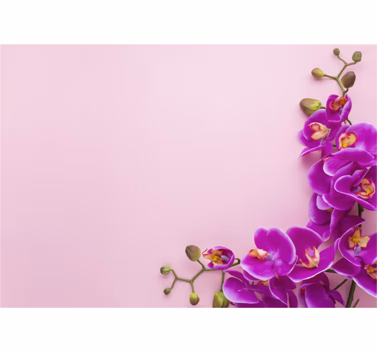 Estore de rolo para cozinha fundo rosa com orquídea - TenStickers
