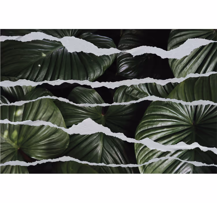 Folha com cortina de quarto principal de papel rasgado - TenStickers