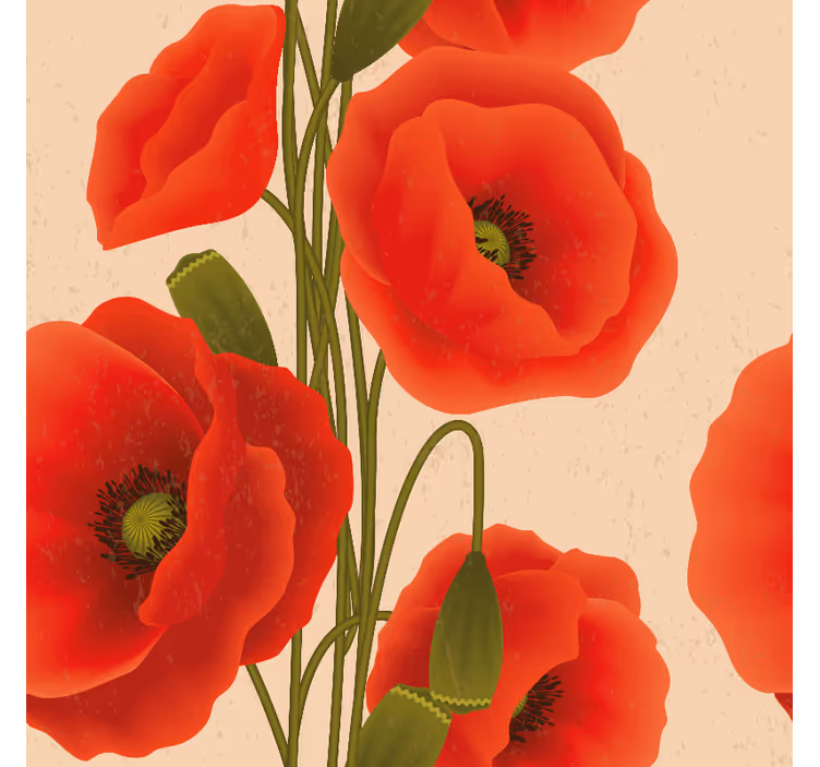 Estore de flores e plantas variadas papoulas - TenStickers