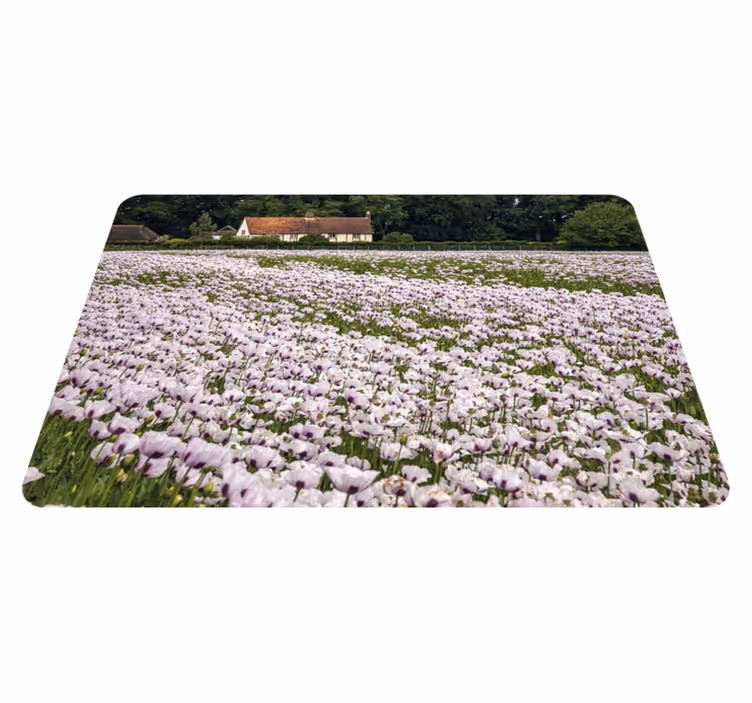Individuais de mesa originais campo de flores de lavanda - TenStickers
