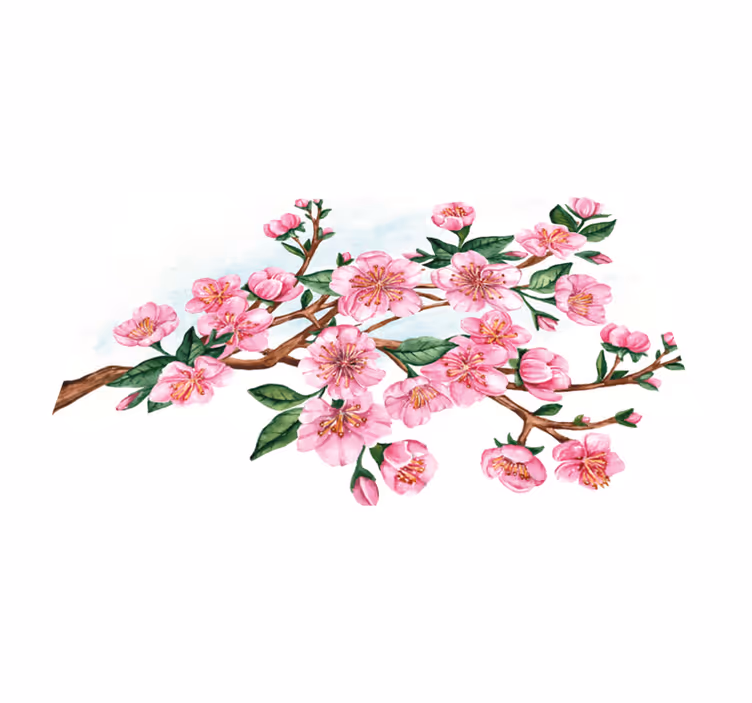 Individuais de mesa originais tigela floral elegante - TenStickers