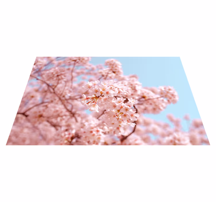 Individuais de mesa com flores Flor de cerejeira rosa e árvore - TenStickers