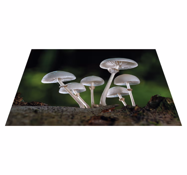 Individuais de mesa originais talheres de madeira vintage - TenStickers