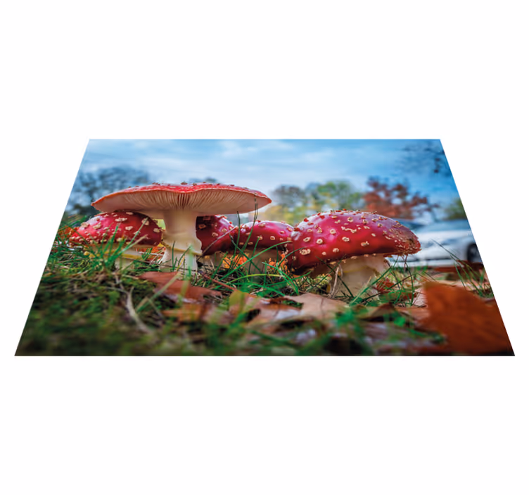 Individuais de mesa modernos cena culinária de cogumelos - TenStickers