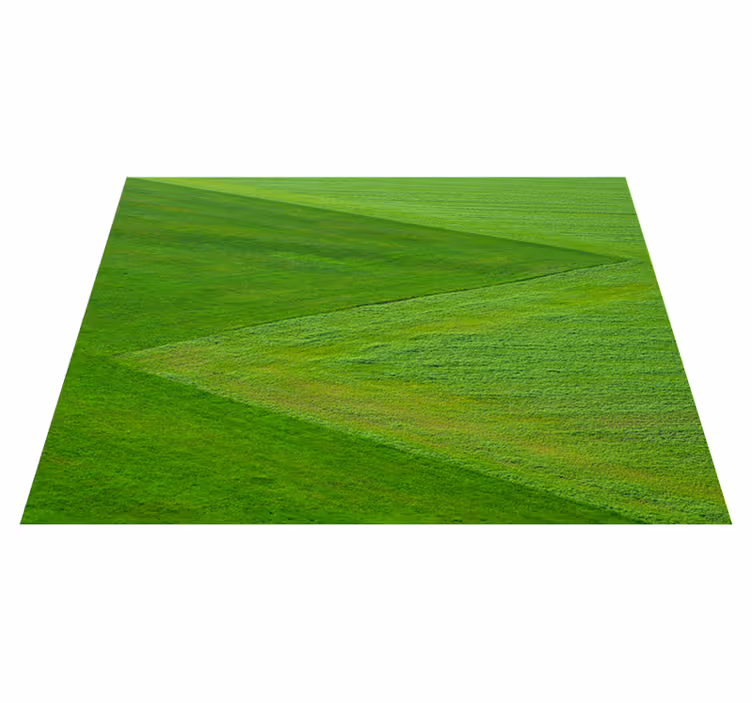 Individuais de mesa infantis arranjo criativo de arroz - TenStickers