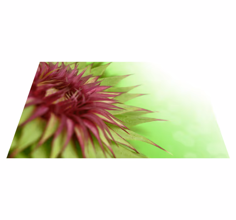 Individuais de mesa elegantes cardo - TenStickers