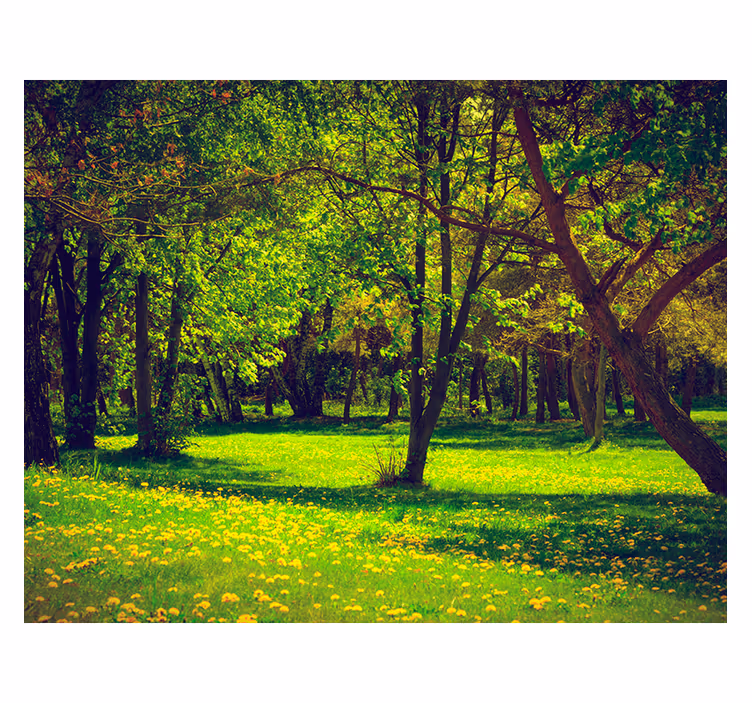 Fotomurais de paisagens vista serena da floresta - TenStickers