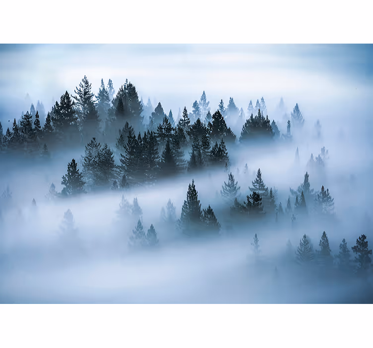 Fotomurais de paisagens Nevoeiro da Manhã - TenStickers