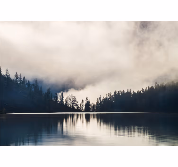 Fotomurais de paisagens árvores e reflexos na água - TenStickers