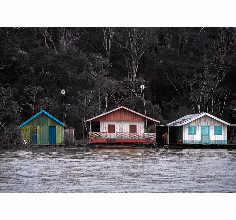 Fotomurais de paisagens Reflexos amazônicos - TenStickers