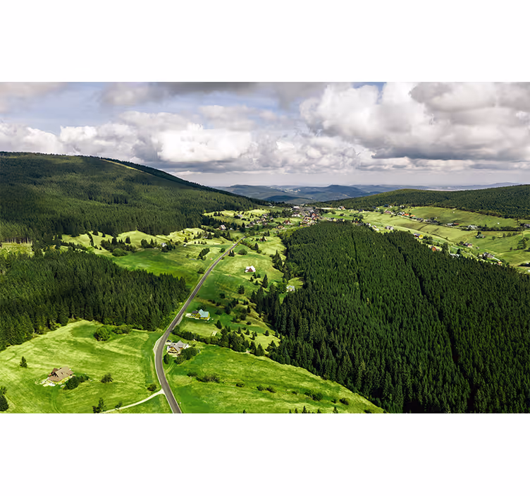 Fotomurais de paisagens colinas verdes luxuosas - TenStickers