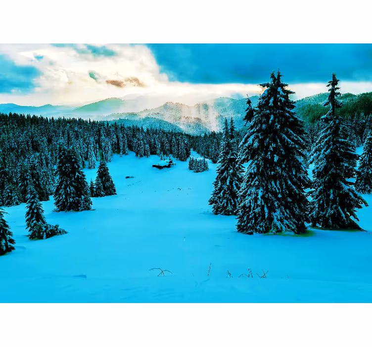 Fotomurais de paisagens Floresta de neve - TenStickers