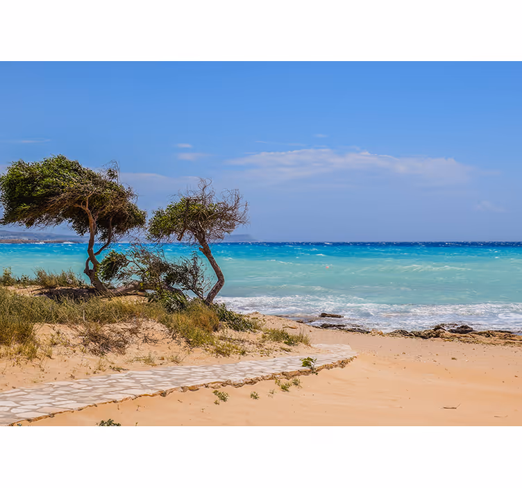Fotomurais de paisagens Caminho branco para a praia - TenStickers