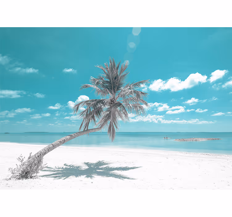 Fotomurais de paisagens Praia com palmeira inclinada - TenStickers