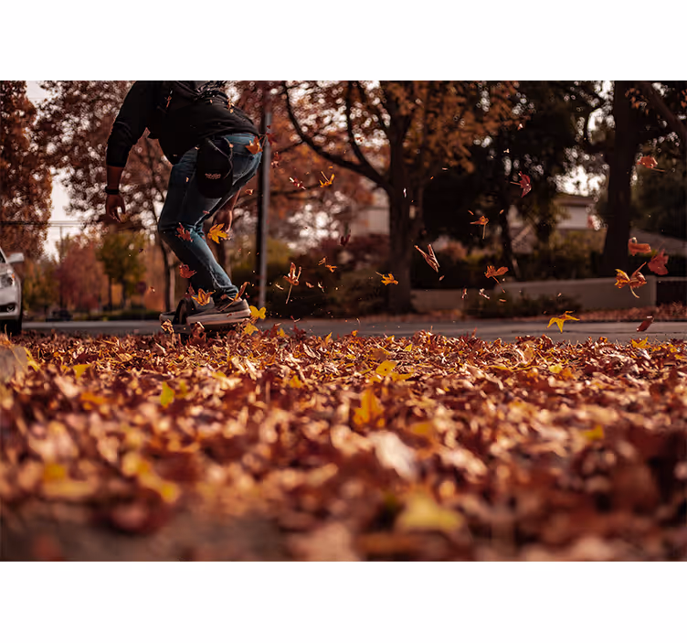 Murais de Parede Skate outonal - TenStickers