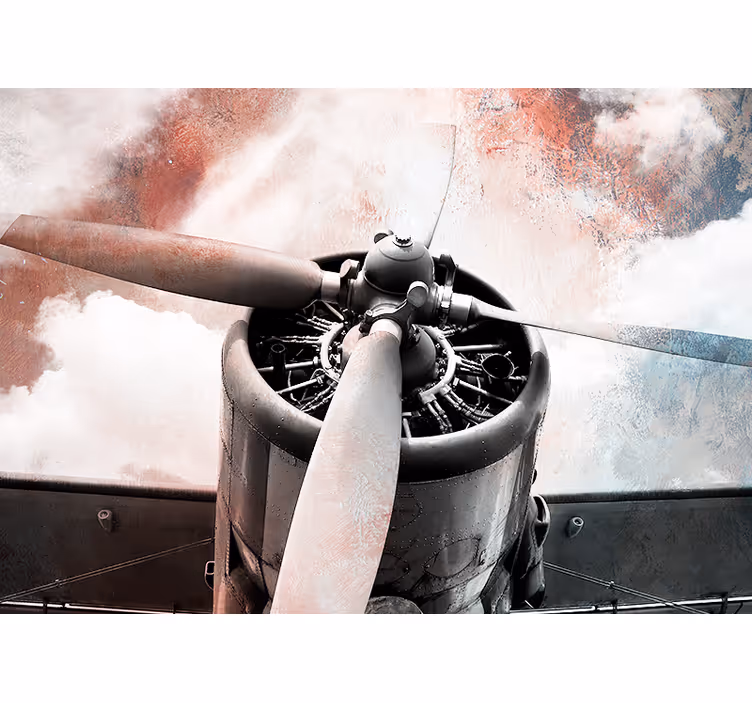 fotomural de parede vintage de avião antigo - TenStickers