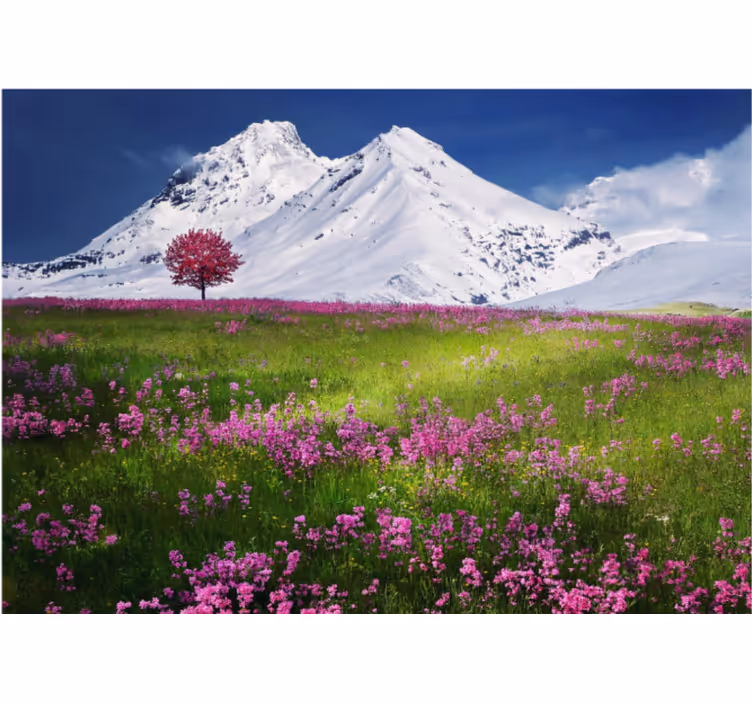 Fotomurais de paisagens vista do prado nas montanhas - TenStickers