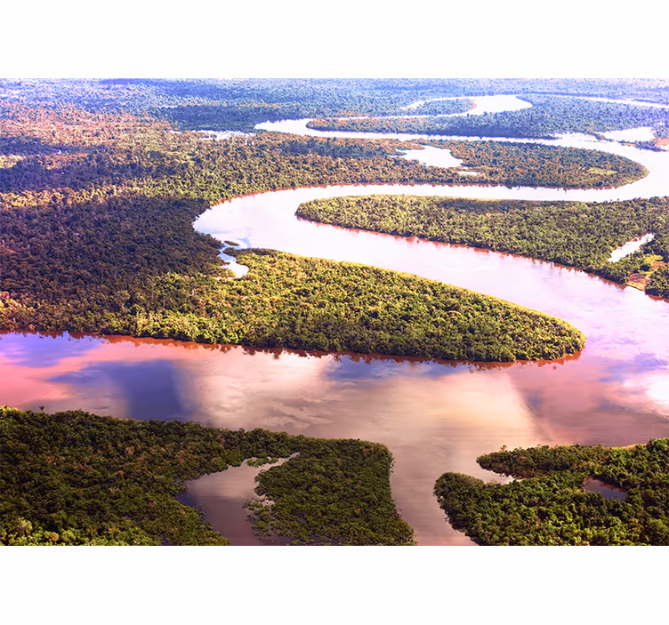 Fotomurais de paisagens O rio amazonas - TenStickers