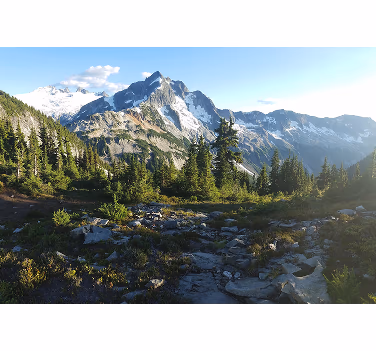 Fotomurais de paisagens vista de floresta montanhosa - TenStickers