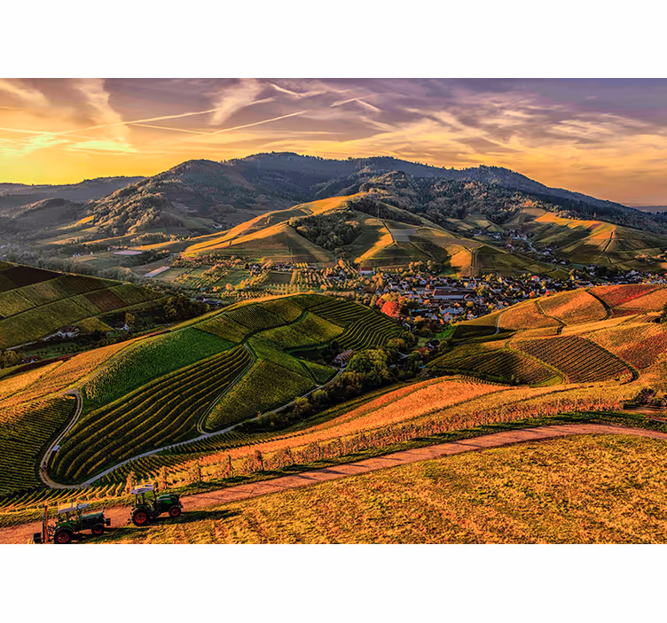 Fotomurais de paisagens Montanha e campo verde - TenStickers