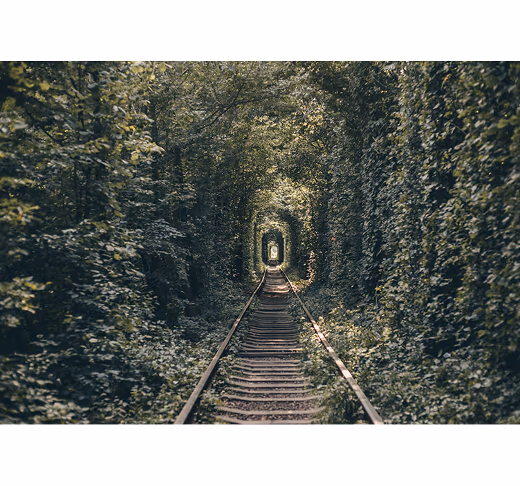 Fotomurais de paisagens túnel ferroviário natural - TenStickers