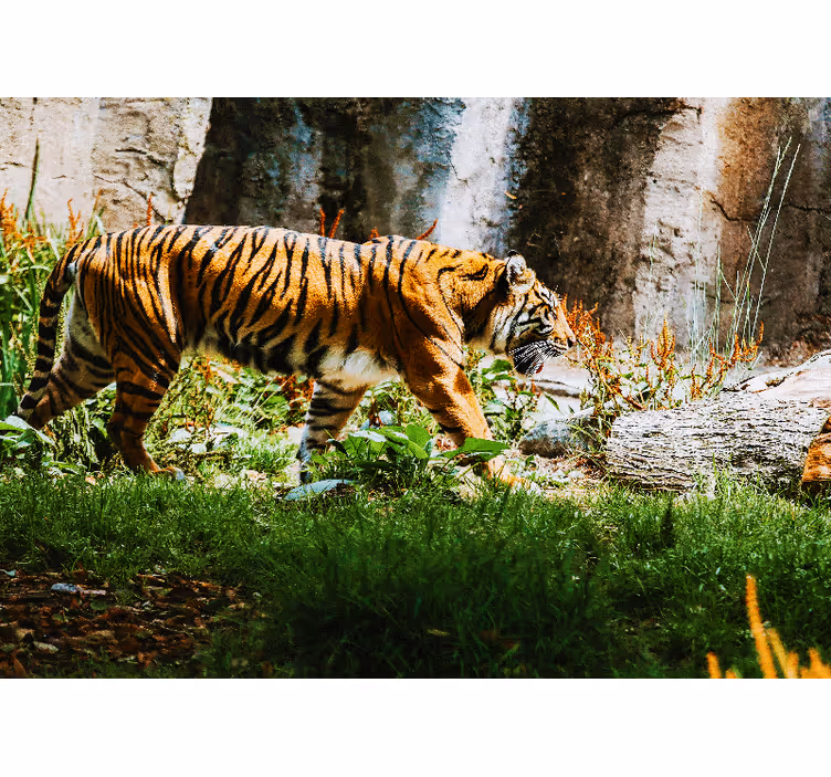 Fotomurais de paisagens Tigre na selva - TenStickers