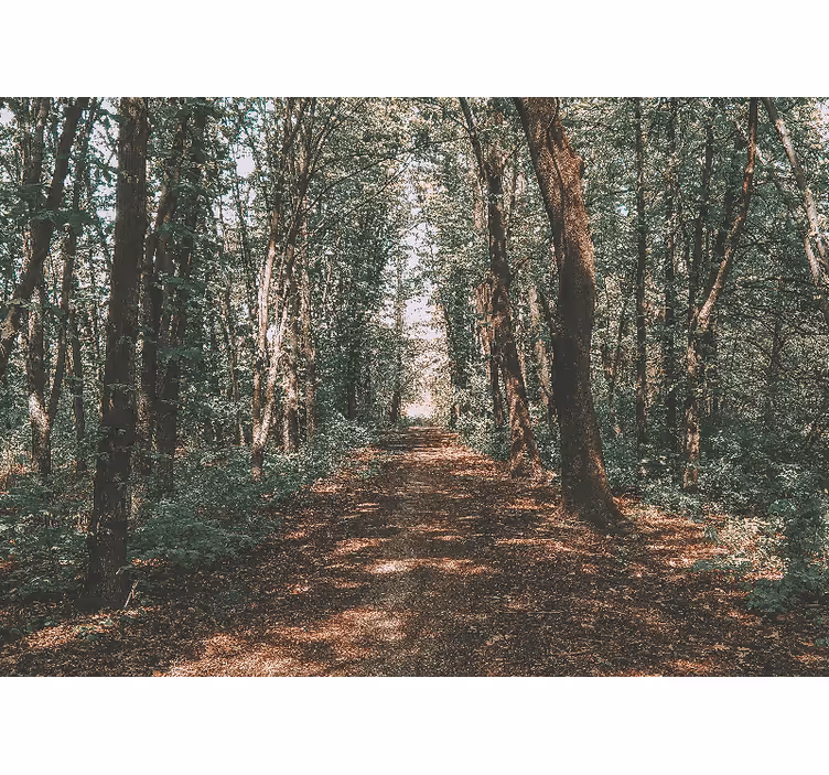 Fotomurais de paisagens Foto verde e marrom da floresta - TenStickers
