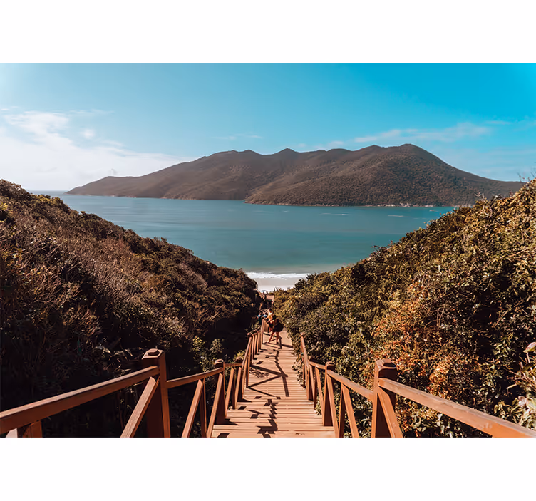 Fotomurais de paisagens Caminho à beira-mar à noite - TenStickers
