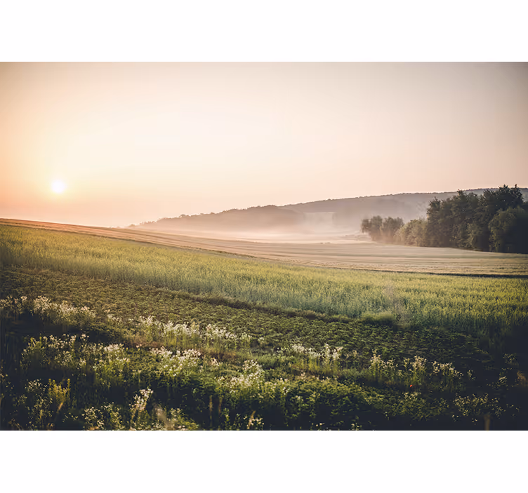 Fotomurais de paisagens prados verdes tranquilos - TenStickers
