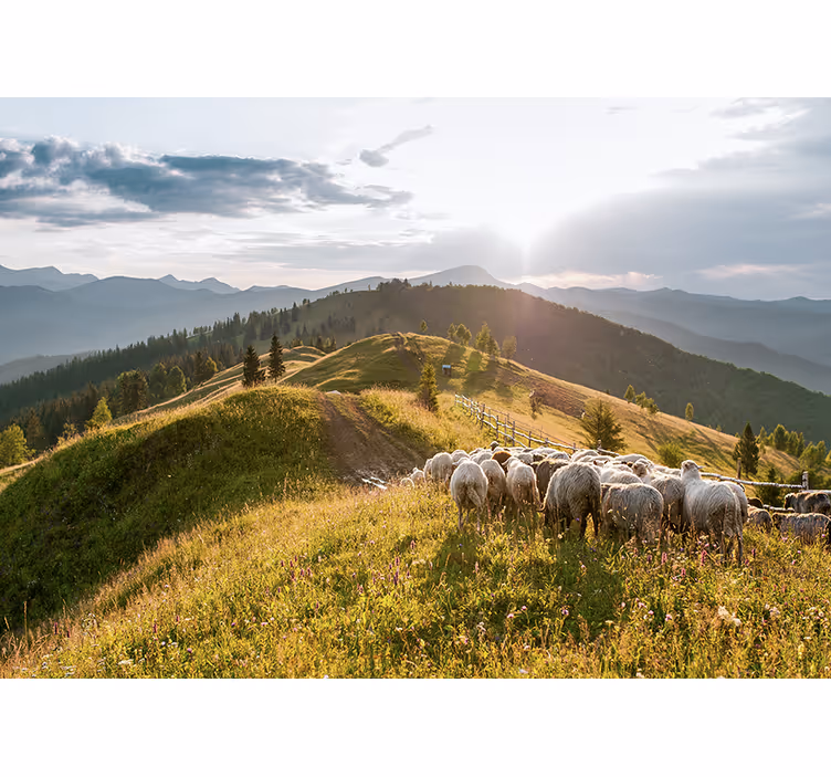Fotomurais de paisagens Lago com montanhas e ovelhas - TenStickers