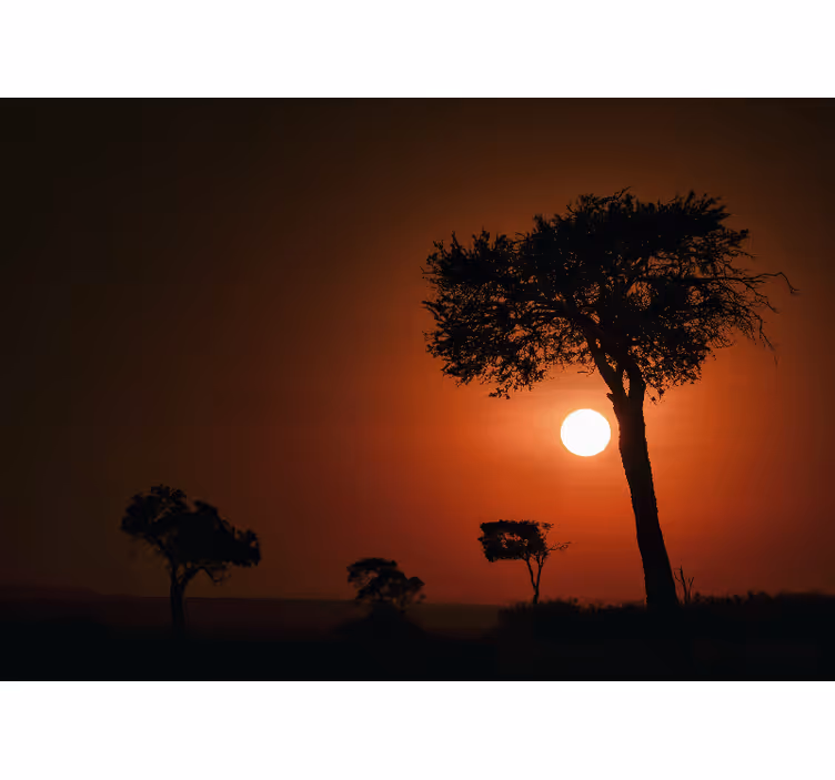 Fotomurais de paisagens cena de silhueta do pôr do sol - TenStickers