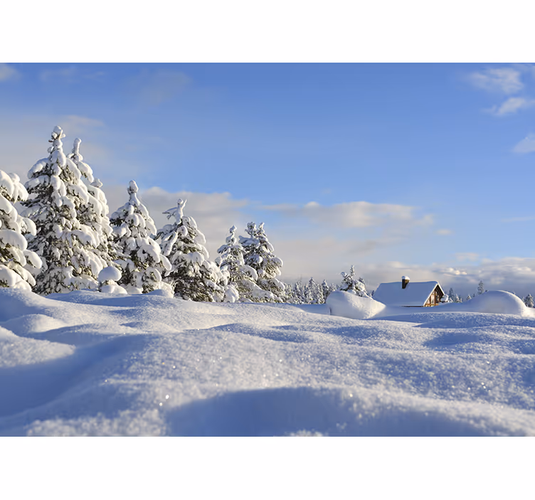 Fotomurais de paisagens cena de inverno neve - TenStickers
