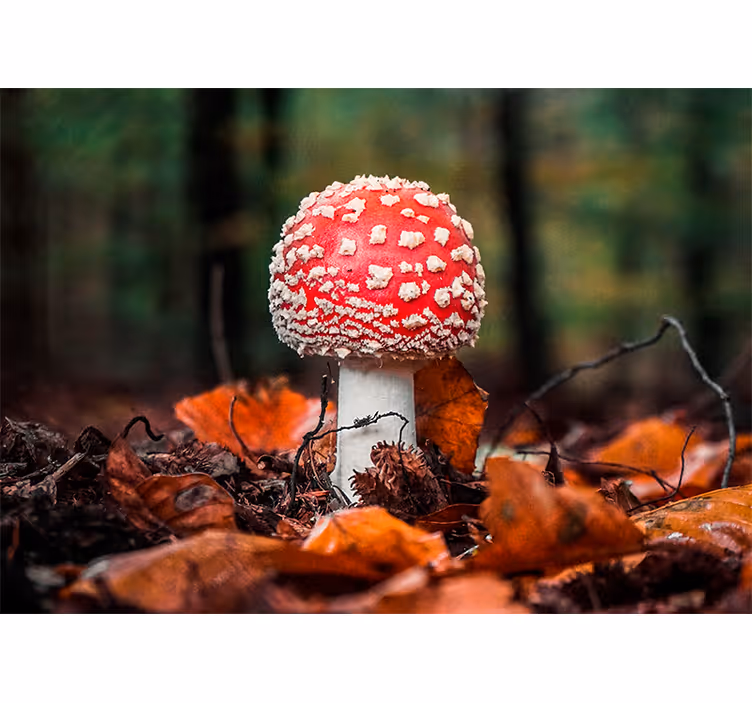 Fotomurais de paisagens Esporos de cogumelos rosa - TenStickers