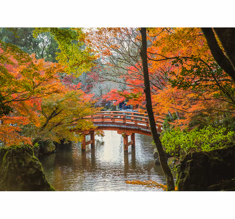 Fotomurais de paisagens Floresta do 'jardim japonês' - TenStickers