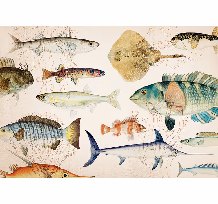 Mural de parede animais coleção vida marinha - TenStickers