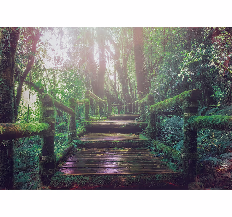 Fotomurais de paisagens Linda escada de musgo verde - TenStickers