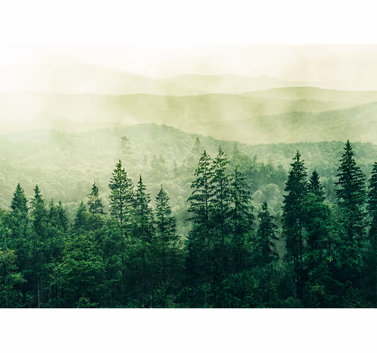 Fotomurais de paisagens Colina copa de árvore verde - TenStickers