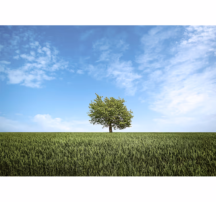 Fotomurais de paisagens Campos verdes planos e árvores - TenStickers
