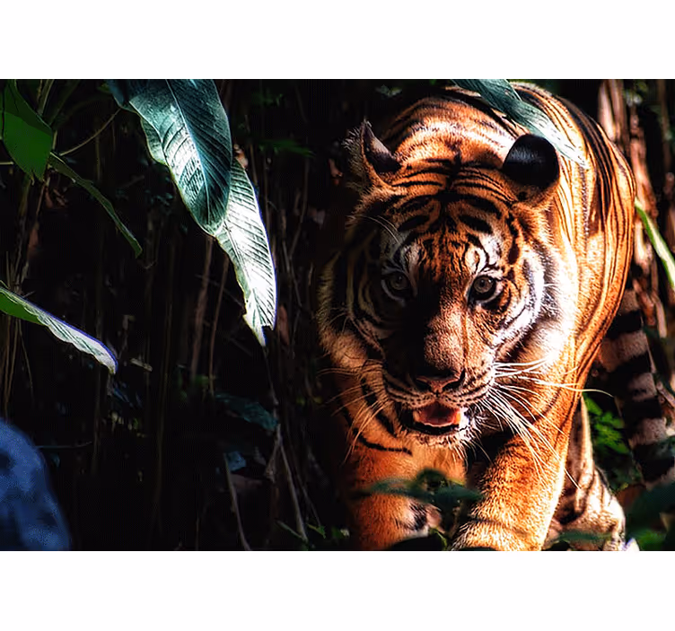 Mural de parede animais tigre majestoso em caça - TenStickers
