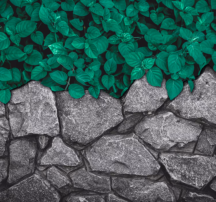 Mural de parede natureza contraste de vegetação exuberante - TenStickers