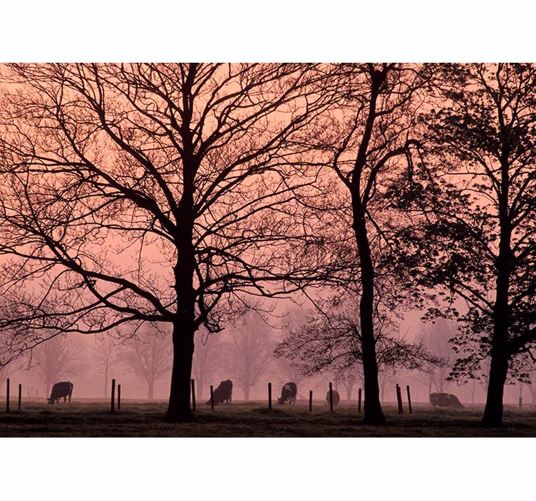 Fotomurais de paisagens paisagem enevoada - TenStickers