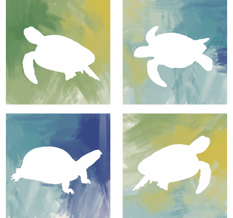 Bases para copos silhuetas de tartarugas coloridas - TenStickers