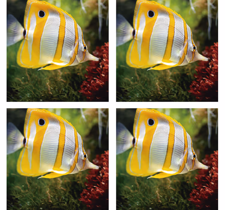 Bases para copos modernas imagem de peixe brilhante - TenStickers