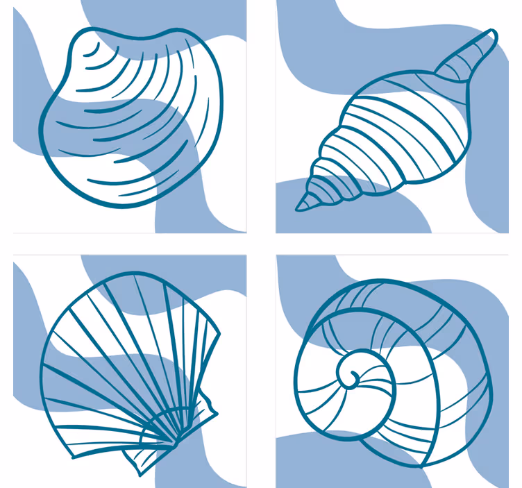 Bases para copos com ilustrações de conchas estilizadas - TenStickers