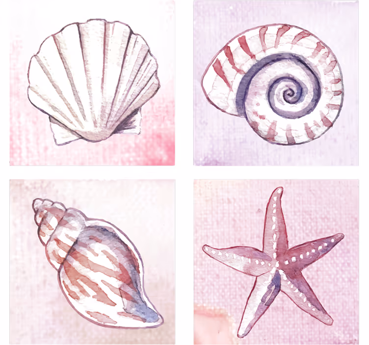 Bases para copos de aquarelas de concha natural - TenStickers