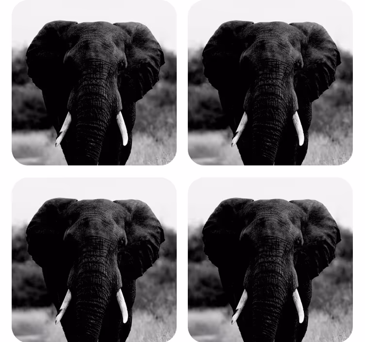 Bases para copos vintage retratos de elefante monocromáticos - TenStickers