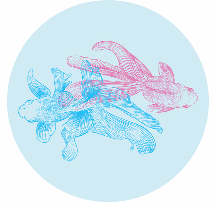 Bases para copos ilustrações de peixes bicolores - TenStickers