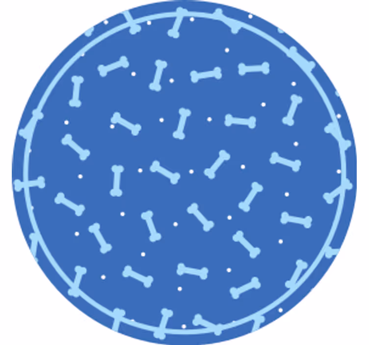 Bases para copos de padrão ósseo circular - TenStickers