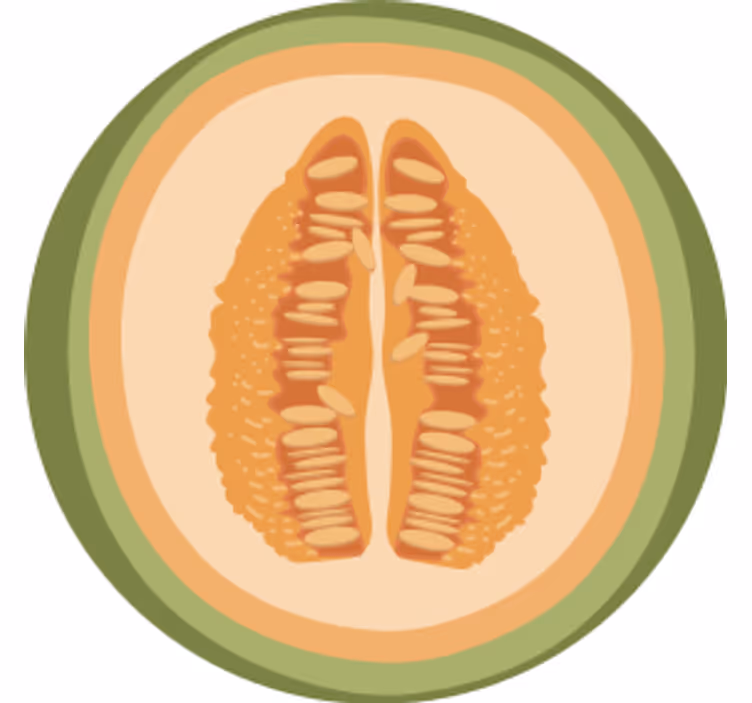 Bases para copos com motivos de fatias de fruta - TenStickers